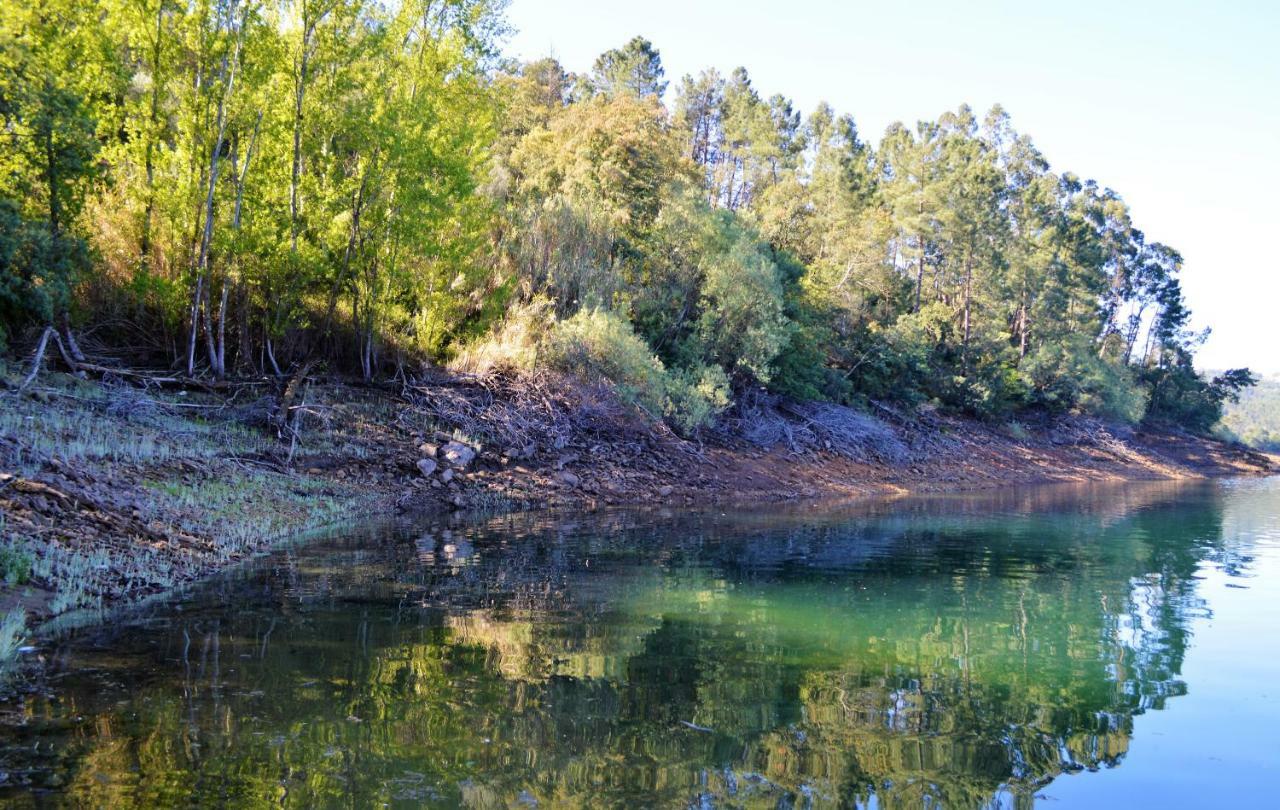 Quinta Do Chaparrinho Villa Sardoal Bagian luar foto